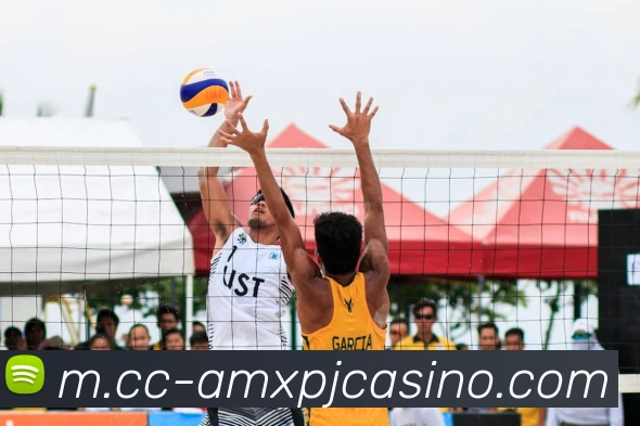 App Interface Preview