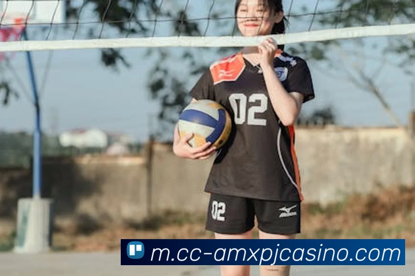 新葡京娱乐APP 封面图